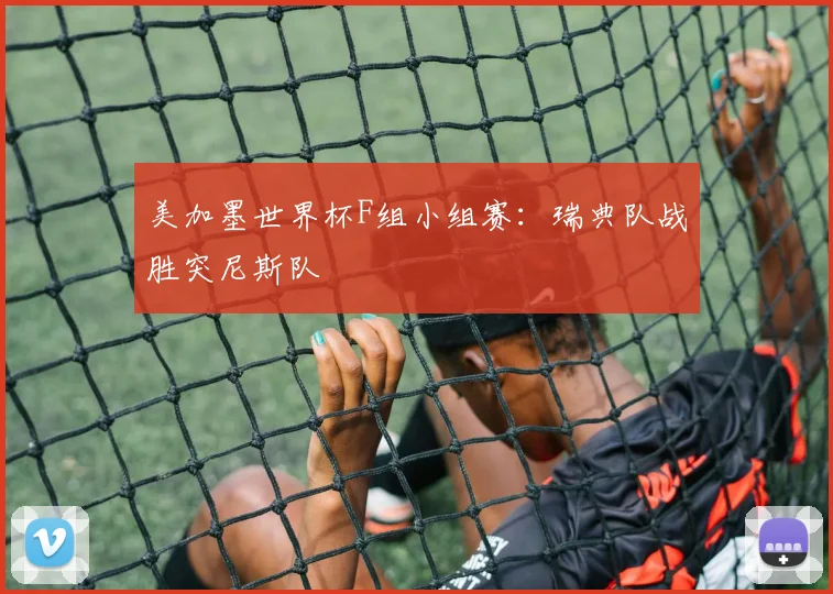 美加墨世界杯F组小组赛：瑞典队战胜突尼斯队